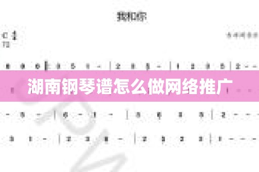 湖南钢琴谱怎么做网络推广