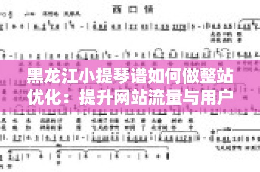 黑龙江小提琴谱如何做整站优化：提升网站流量与用户体验的全方位策略