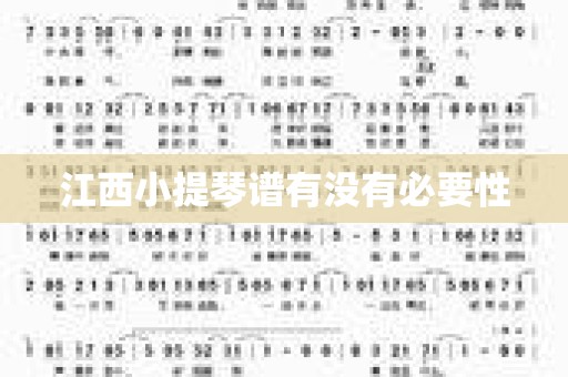 江西小提琴谱有没有必要性