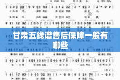 甘肃五线谱售后保障一般有哪些