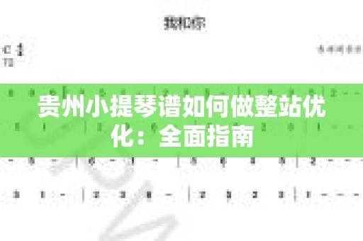 贵州小提琴谱如何做整站优化：全面指南