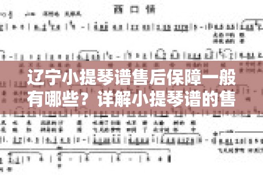 辽宁小提琴谱售后保障一般有哪些？详解小提琴谱的售后服务