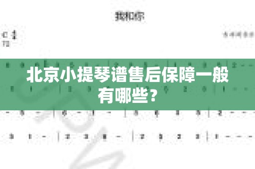 北京小提琴谱售后保障一般有哪些？