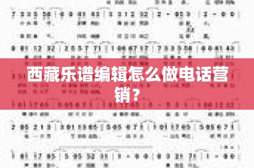 西藏乐谱编辑怎么做电话营销？
