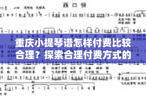 重庆小提琴谱怎样付费比较合理？探索合理付费方式的最佳实践